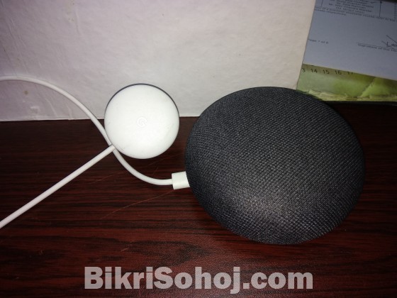 Google Home Mini